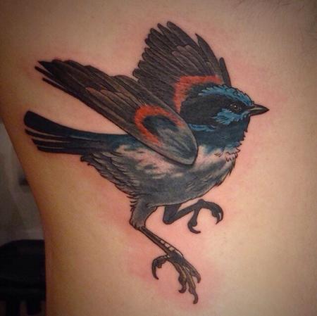 Tattoos - Blue wren bird tattoo - 84452